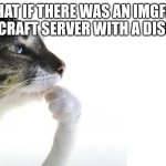 hm | WHAT IF THERE WAS AN IMGFLIP MINECRAFT SERVER WITH A DISCORD | image tagged in thinker,gaming,discord,minecraft | made w/ Imgflip meme maker