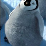 Cute Penguin