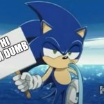 Sonic Sign Meme | HI I'M DUMB | image tagged in sonic sign meme | made w/ Imgflip meme maker