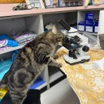 Science has confirmed