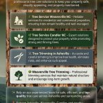 Tree Service Weaverville NC