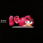 ANGRY BLOODY BIRDS GIF Template