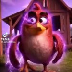 ANGRY BLOODY BIRDS GIF Template