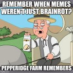 Pepperidge Farm Remembers | REMEMBER WHEN MEMES WEREN'T JUST BRAINROT? PEPPERIDGE FARM REMEMBERS | image tagged in memes,pepperidge farm remembers | made w/ Imgflip meme maker