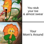 angry flower | You stub your toe & almost swear; Your Mom's Around | image tagged in angry flower | made w/ Imgflip meme maker