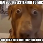 You're cooked if you can hear it through the headphones | WHEN YOU'RE LISTENING TO MUSIC; AND YOU HEAR MOM CALLING YOUR FULL NAME | image tagged in scare doggo,music | made w/ Imgflip meme maker