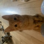 When your mom takes a photo of you when ur a baby