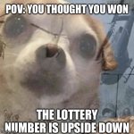 Well | POV: YOU THOUGHT YOU WON; THE LOTTERY NUMBER IS UPSIDE DOWN | image tagged in vietnam dog flashbacks | made w/ Imgflip meme maker