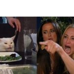 Woman yelling at cat