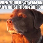 Dog accepting fate | WHEN YOUR UP AT 4 AM AND HEAR A NOISE FROM YOUR DOOR | image tagged in dog accepting fate | made w/ Imgflip meme maker