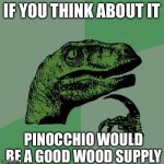 Think about this one for me gng | IF YOU THINK ABOUT IT; PINOCCHIO WOULD BE A GOOD WOOD SUPPLY | image tagged in memes,philosoraptor | made w/ Imgflip meme maker