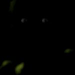 Springtrap stare meme