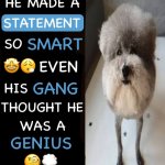 He made a statement so smart even his gang thought genius meme