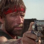 Chuck Norris m29 .44 Magnum