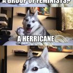 This meme is not funny | What do you call a group of Feminists? A herricane | image tagged in memes,bad pun dog | made w/ Imgflip meme maker