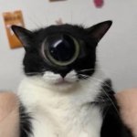 the ominous and menacing cyclops