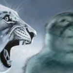 Angry Lion And Silly Monkey
