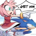Sic em, Sonic! meme
