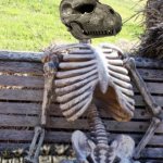 waiting Godzilla 1954 skeleton