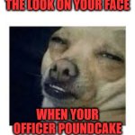 Paging officer Pound Cake | The look on your face; When your officer poundcake | image tagged in the look,pound cake,afroman,lemon pound cake,turning lemons into lemon poundcake | made w/ Imgflip meme maker