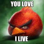 Red stop please | YOU LOVE; I LIVE | image tagged in realistic red angry birds | made w/ Imgflip meme maker