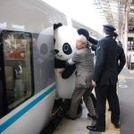 Panda japan rush hour