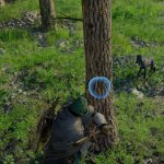 Crimson Desert Wood Gathering