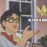 No | Is this a dog | image tagged in memes,is this a pigeon | made w/ Imgflip meme maker