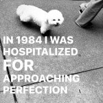 approaching perfection meme