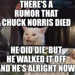 Smudge that darn cat | There's a rumor that Chuck Norris died; He did die, but he walked it off and he's alright now. | image tagged in smudge that darn cat | made w/ Imgflip meme maker
