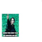 Hunger Games 2026 version | Leaving your family to go; buy groceries and fuel | image tagged in make your own meme | made w/ Imgflip meme maker