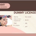 Dummy licsense template