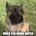 cold | When you drink water after shewing mint gum | image tagged in gifs,funny,memes | made w/ Imgflip video-to-gif maker