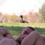 Coin coin la SB meme