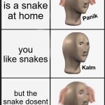 Panik Kalm Panik | there is a snake at home; you like snakes; but the snake dosent like you | image tagged in memes,panik kalm panik | made w/ Imgflip meme maker