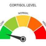 low cortisol level