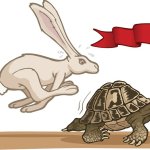 turtle and hare