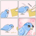 Bird Cracker Meme Generator (friendly)