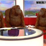 where video monkeys | where video | image tagged in where video monkeys | made w/ Imgflip meme maker
