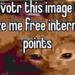 i have really high demand for points bro | image tagged in free internet points | made w/ Imgflip meme maker