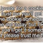 Guys PLEASE just trust me on this one | Upvote for a cookie, trust me you'll get the cookie someday, maybe not today but TRUST me you'll get it someday. Just please trust me twin; (downvote if you like licking people's toes) | image tagged in chocolate chip cookie,memes,funny | made w/ Imgflip meme maker