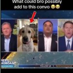 what could bro possibly add to this convo