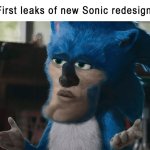 SONIC THE FUNNY_HOG