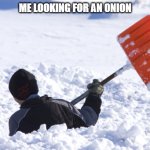 I must find it | me looking for an onion | image tagged in blizzard,onion,onions,memes,vegetable,search | made w/ Imgflip meme maker