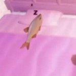 tigtig at the ass crack of dawn