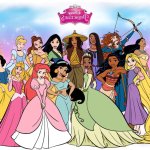 14 Disney Princess Backwards T-Shirt