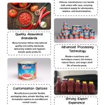 Tomato Paste Manufacturer China
