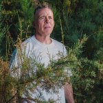 Pdfs of the bush Meme Template