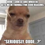 So true | how i look at bro when he gets me in trouble for zero reasons:; "seriously, dude...?" | image tagged in so true,funny | made w/ Imgflip meme maker