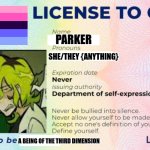 I know there a LGBT stream, I'm just lazy. | Parker; she/they {anything}; a being of the third dimension | image tagged in license to gay,lgbtq,pride,support | made w/ Imgflip meme maker